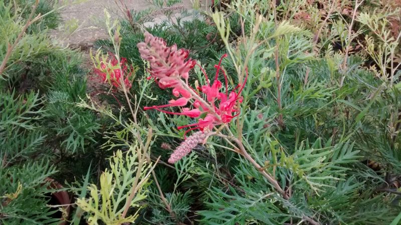 img_20160917_122346097