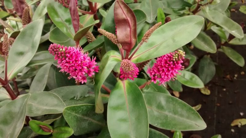img_20160917_122631542
