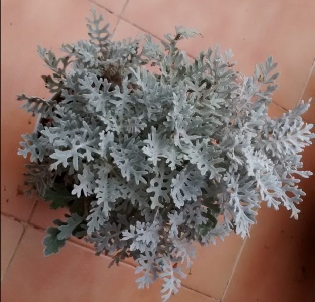 img_20160917_141753583