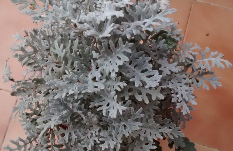 img_20160917_141757150