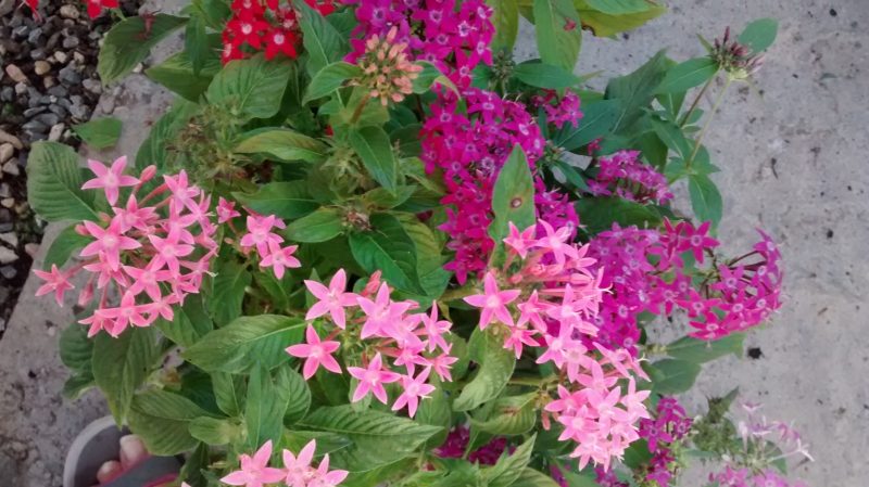 img_20160917_171309682