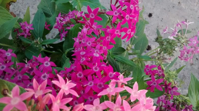 img_20160917_171317498