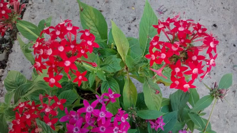 img_20160917_171321655