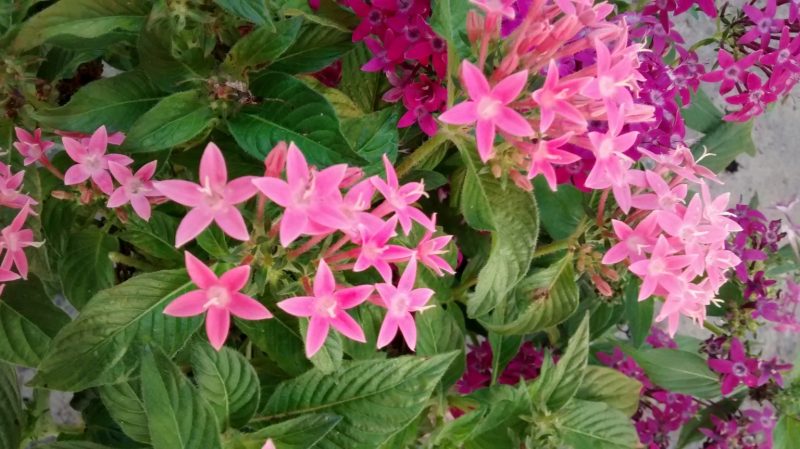 img_20160917_171325441