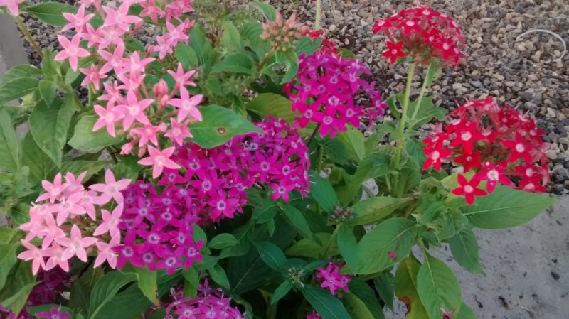 img_20160917_171332157
