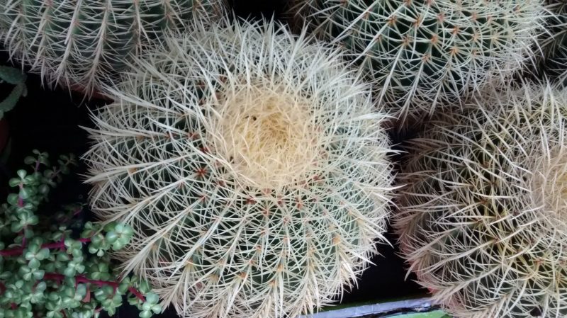 img_20160917_175049042