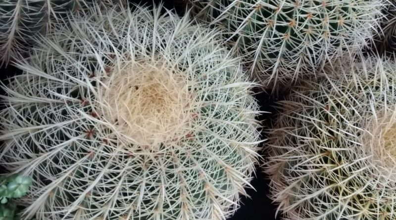 img_20160917_175052833