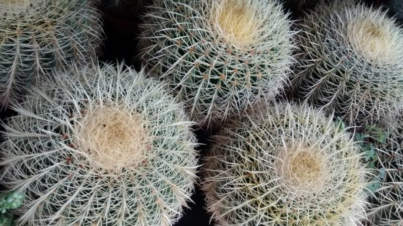 img_20160917_175052833