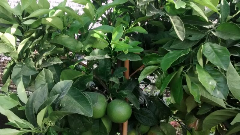 img_20160920_091323953