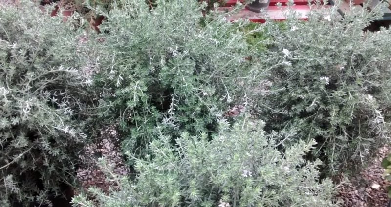 img_20160920_091524413