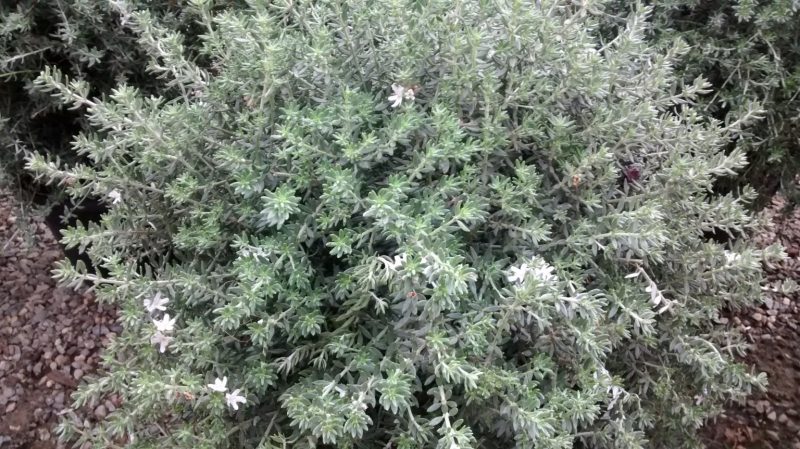 img_20160920_091529026