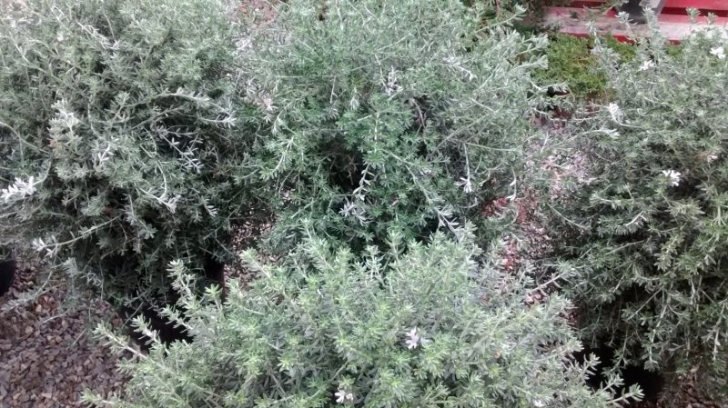 img_20160920_091534655