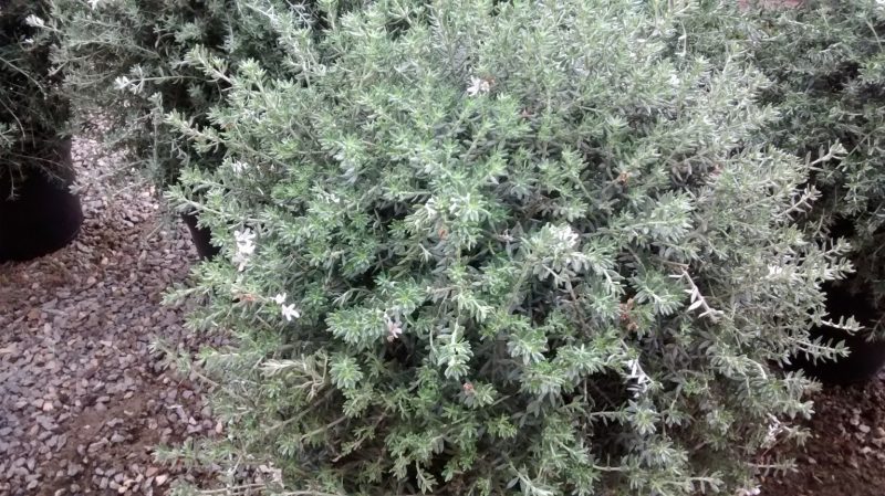 img_20160920_091538099