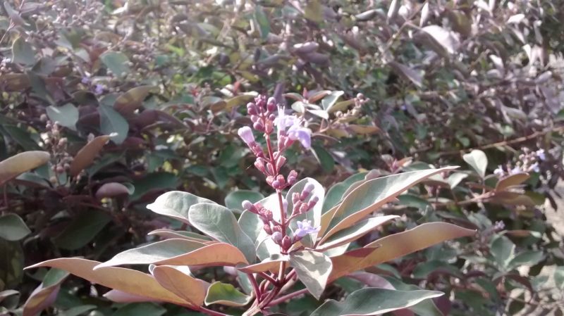 img_20160920_091614563