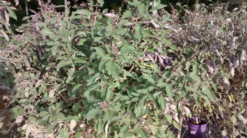 img_20160920_091637130