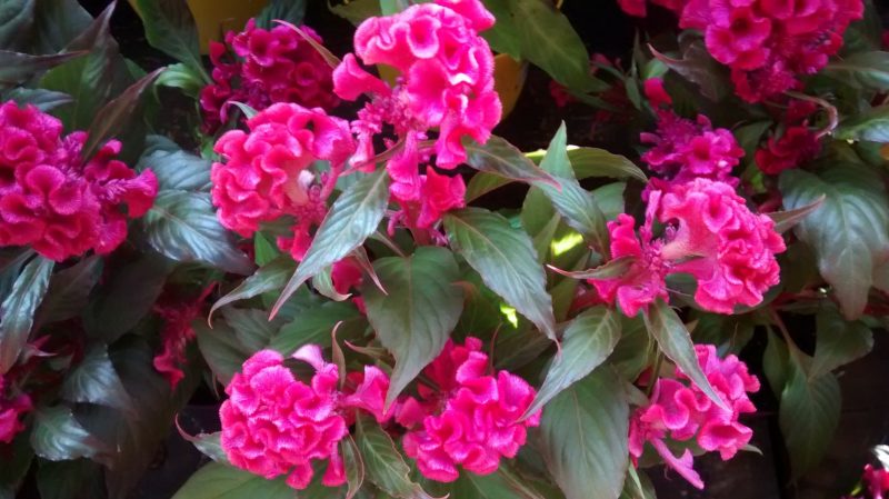img_20160920_100058392