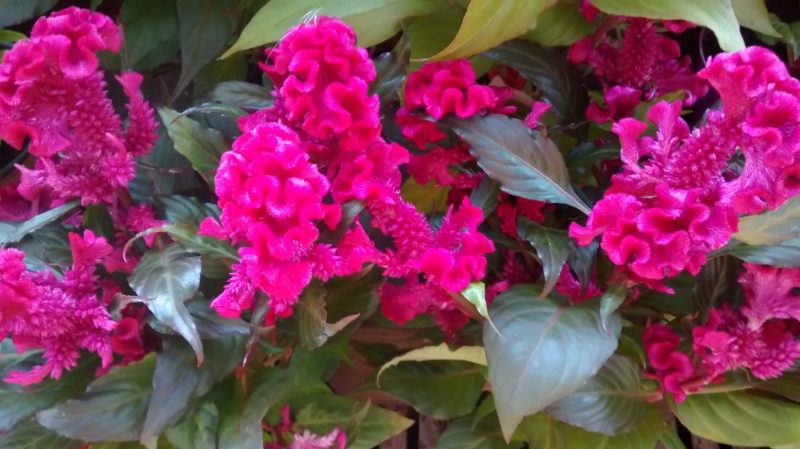 img_20160920_100107118