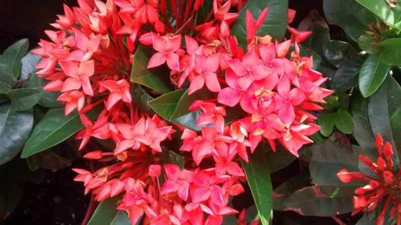 img_20160920_100153162