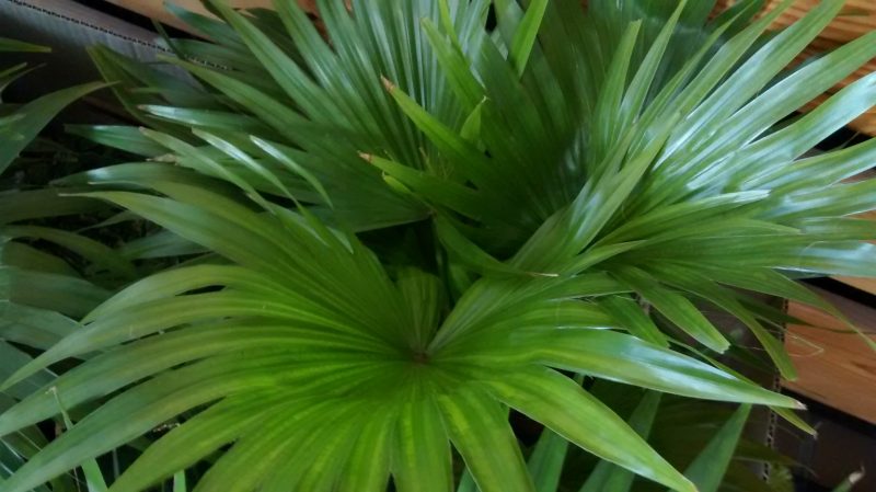 img_20160920_100416291