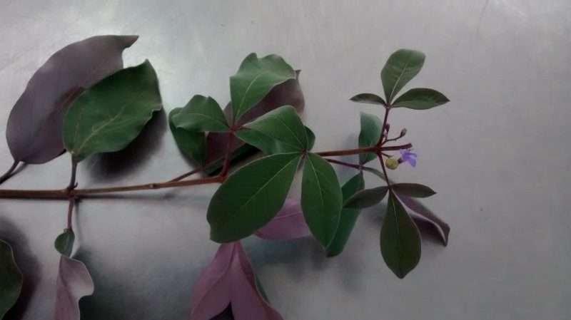 img_20160920_175812966