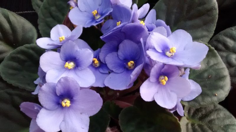 img_20160920_182229085