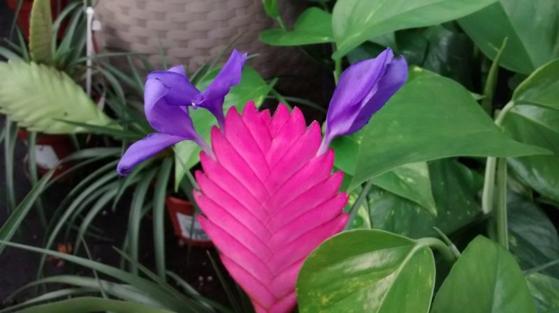 img_20160920_182337123