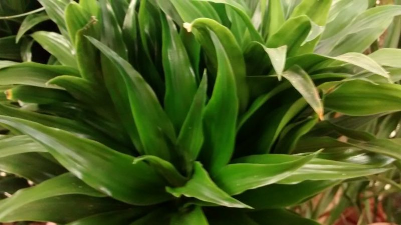 img_20160920_185648970