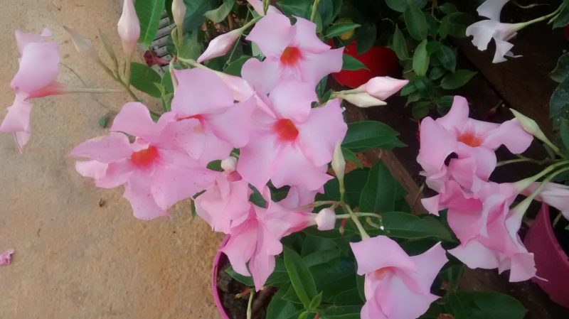 img_20160921_121526090