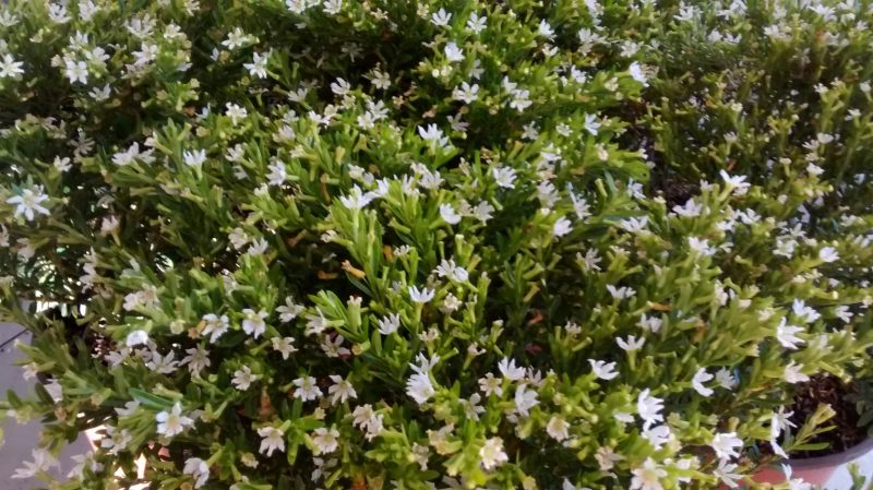 img_20160921_184001709