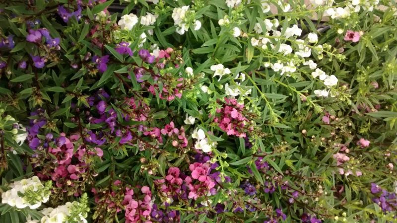 img_20160922_110816845