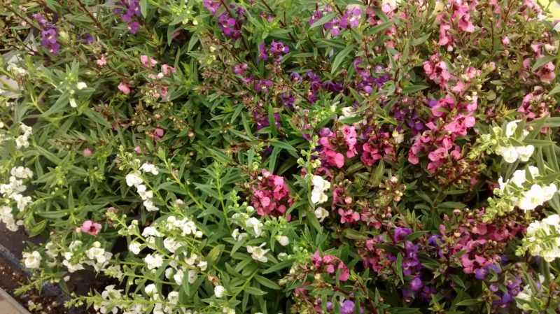 img_20160922_110830898