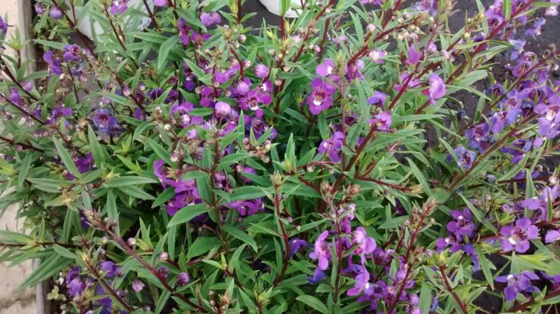 img_20160922_111027310