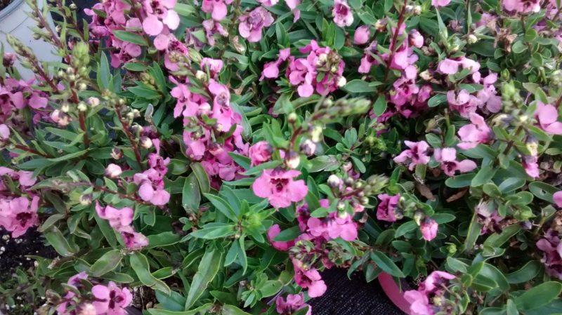 img_20160922_111555066