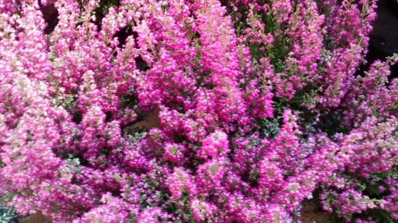 img_20160922_121055846