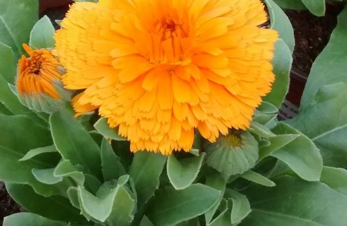 img_20160922_123839592