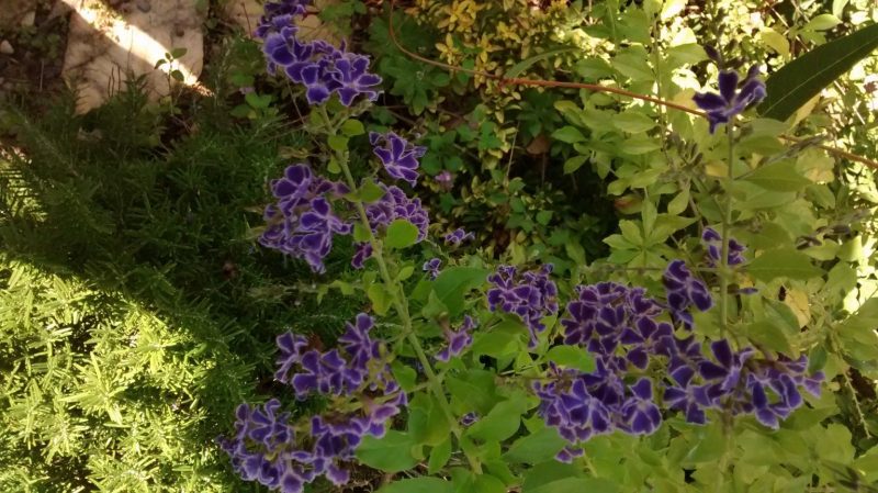 img_20160922_152711977