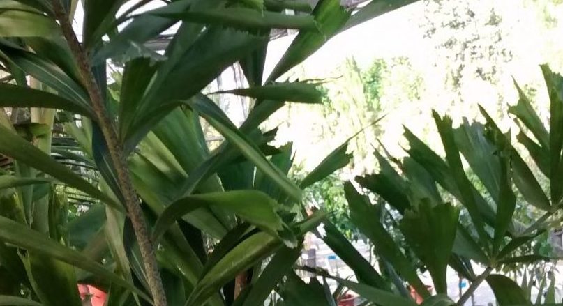 img_20160922_171606484