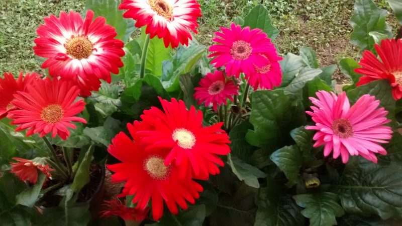 img_20160922_175535658