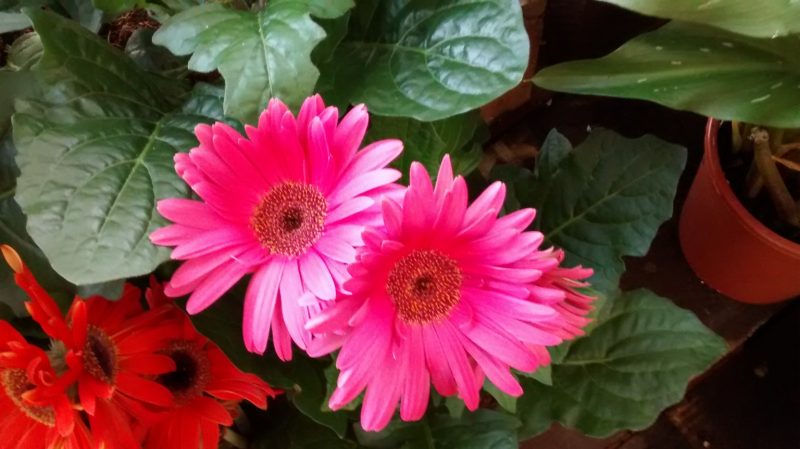 img_20160922_175543649