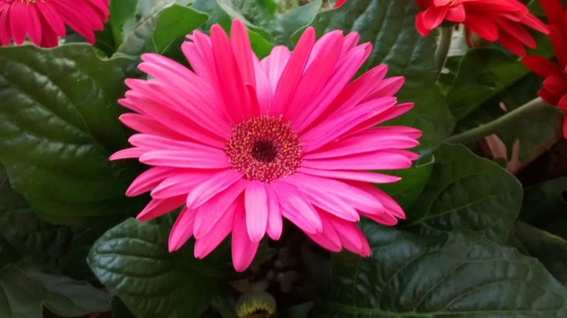 img_20160922_175547510