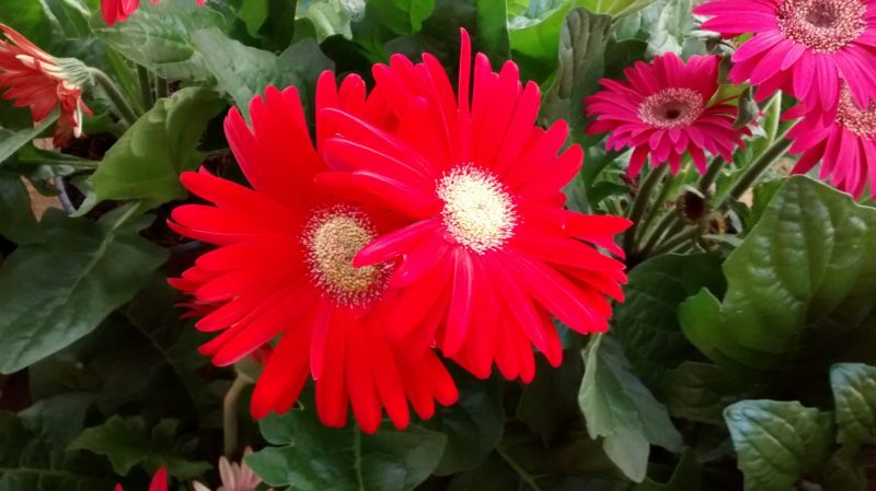 img_20160922_175553199