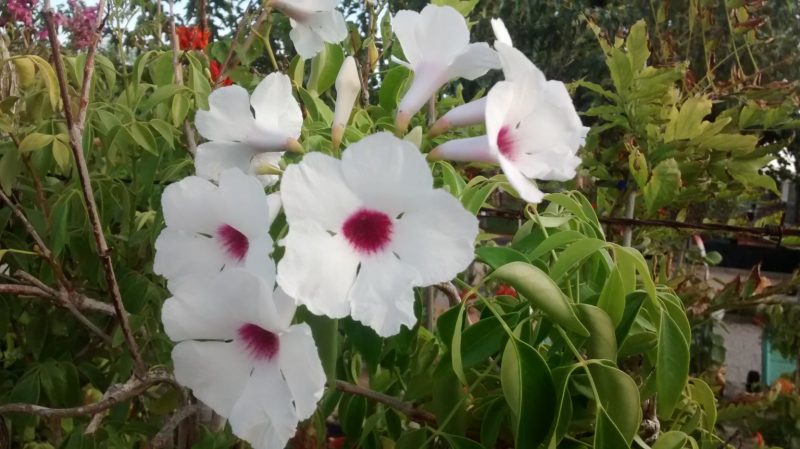 img_20160922_184633797