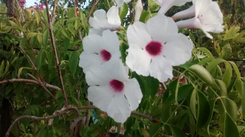 img_20160922_184645994