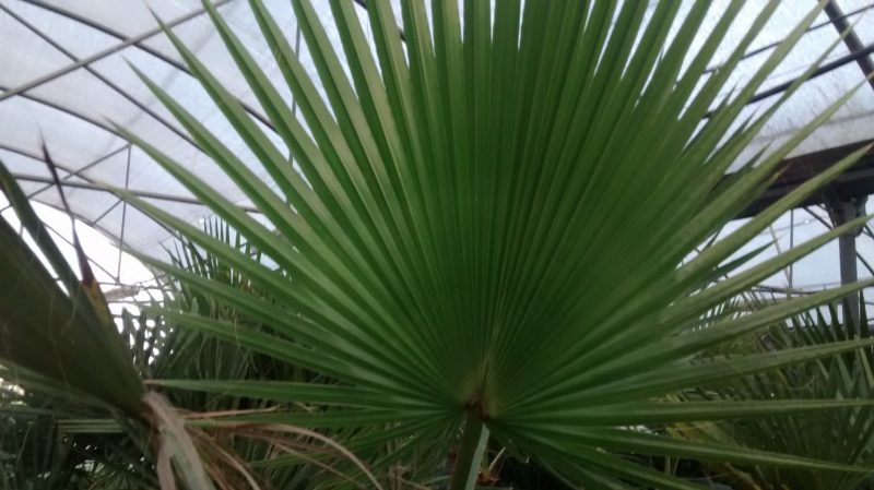 img_20160922_184925371