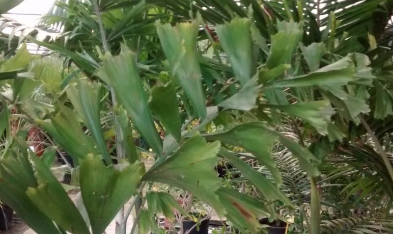 img_20160922_185032318