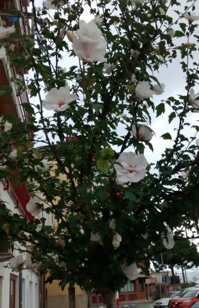 img_20160923_114536899