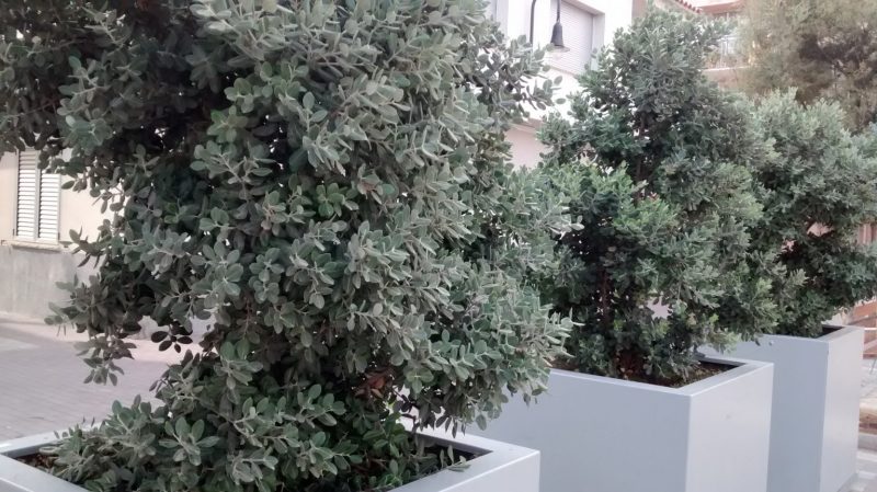 img_20160923_151329092