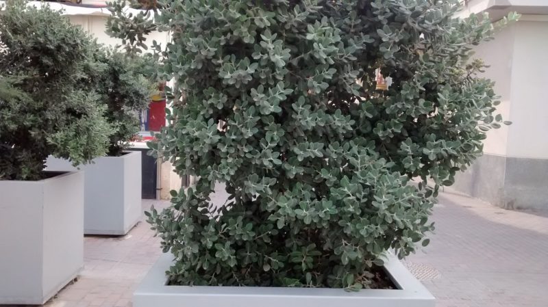img_20160923_151342095