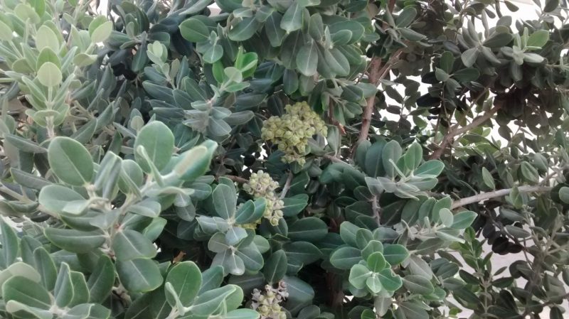img_20160923_151348311