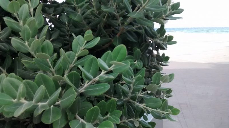img_20160923_151410573